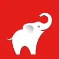 D'PELUCHE Logo